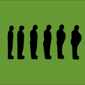 Evolucion II