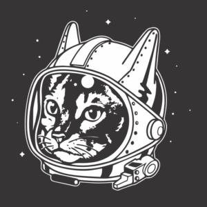 Nasa Cat